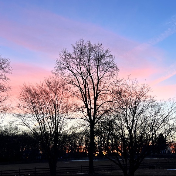 Make a bundle or outfit that coordinates -Iโll send you a multi item discount! - Picture 1 of 1